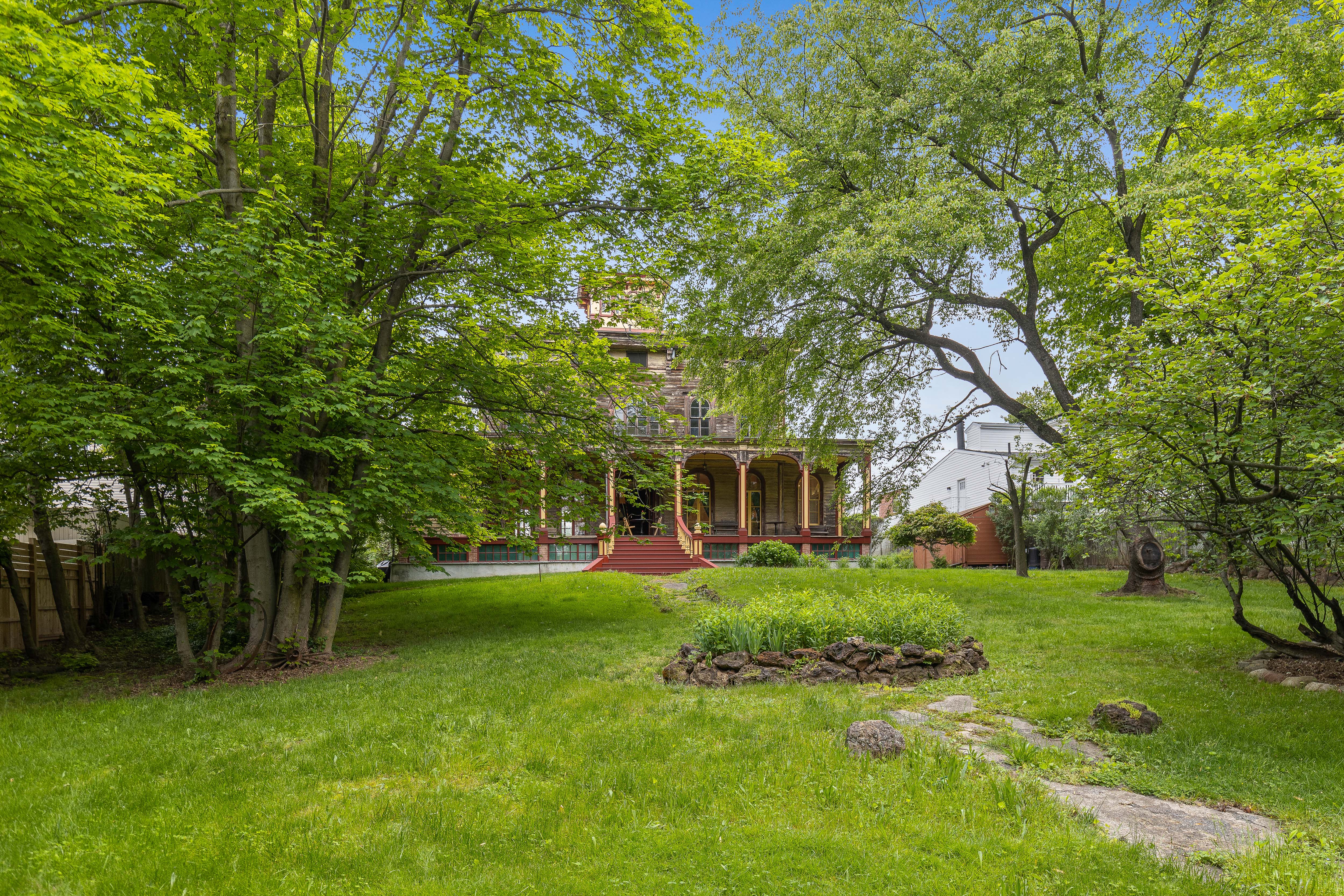 Backyard through mature trees