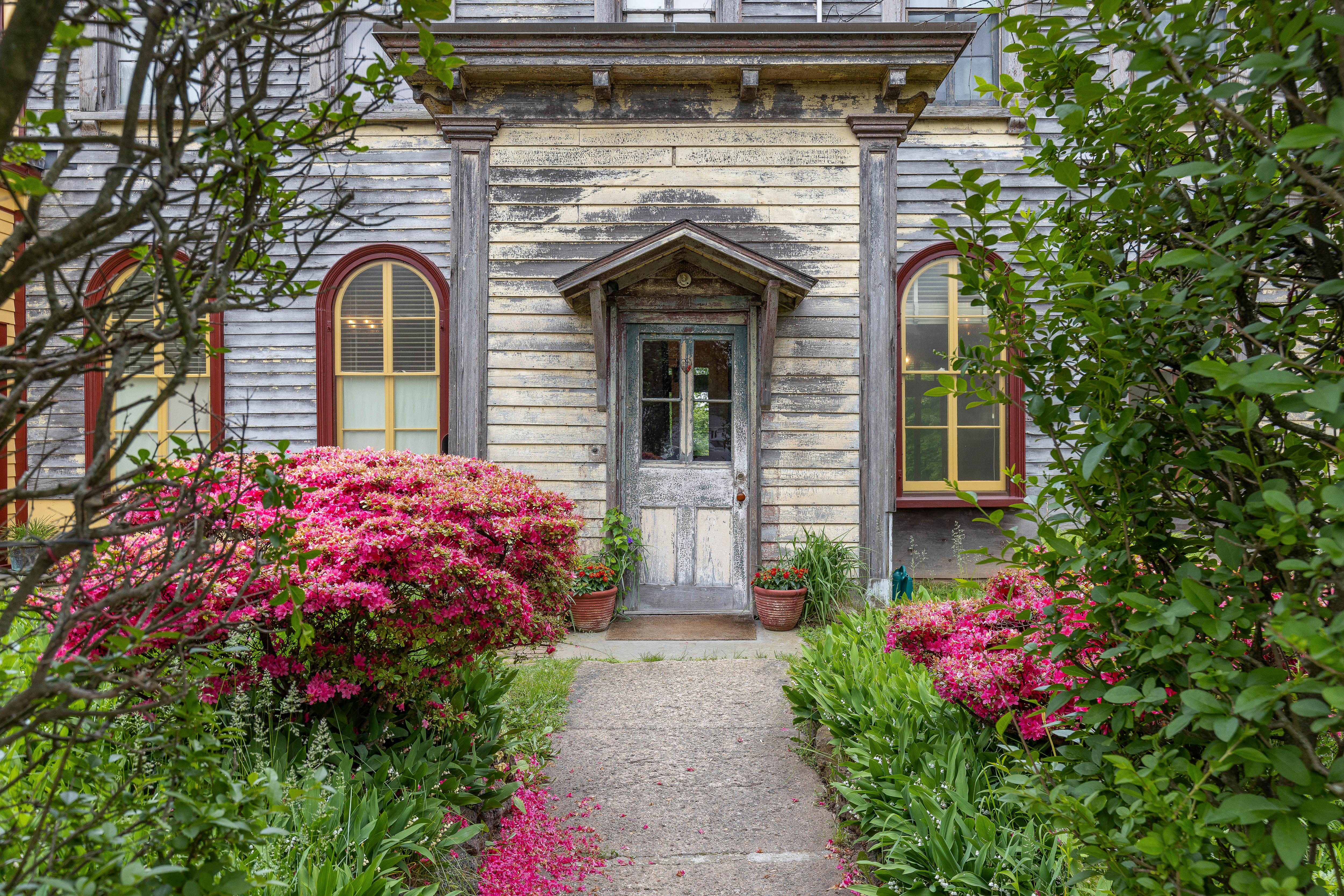 Front door with azalea gardens